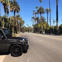 Отзыв от Алексей - DTV виза